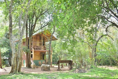 Nochchiyagama Cabin | Wilpattu Jungle Resort