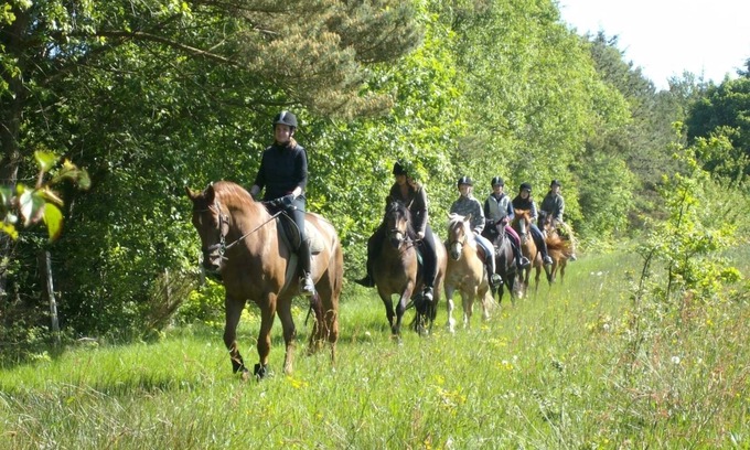 Holtgast Apartment | Wohnung 5 auf dem Ferienhof Eilts -viele Ponys und Sonstige Tiere in Nordseenähe