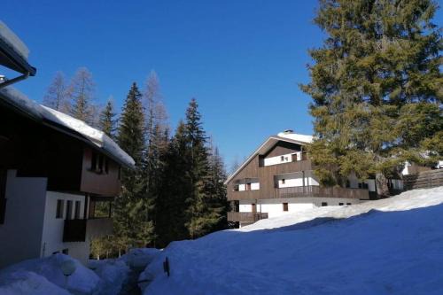 Selva di Cadore Apartment | Wonderful Attic in Dolomite's Heart