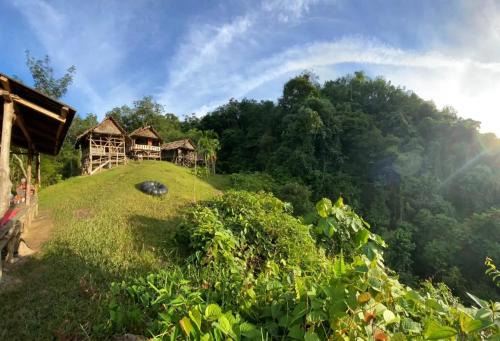 Bukit Lawang House | WOOD CABIN LODGE IN THE FOREST book here treking with us