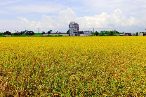 Zhuangwei Bed & Breakfast | Wudai