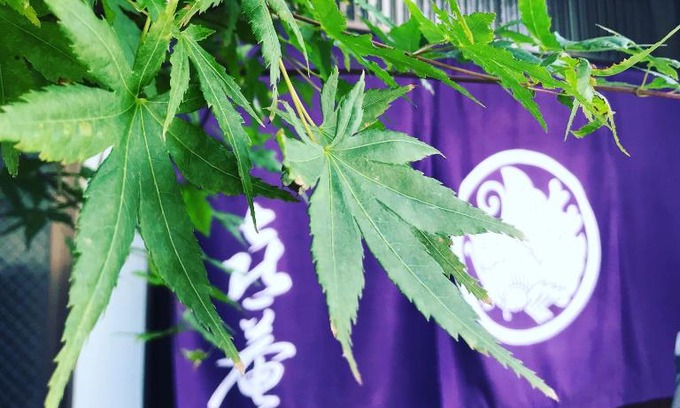 Matsue House | 喜庵 KIAN the guest house by the castle