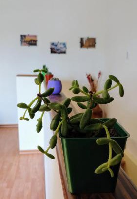 San Martin Apartment | Yellow