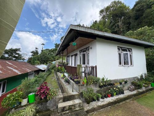 Pelling House | Yonzon lha dhim