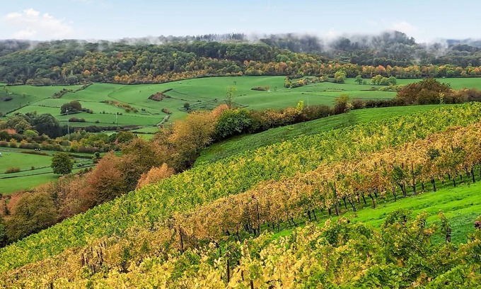 Bous Apartment | Your vacation home in Erpeldange-Remich is located only 3 km from the famous wine town of Remich.