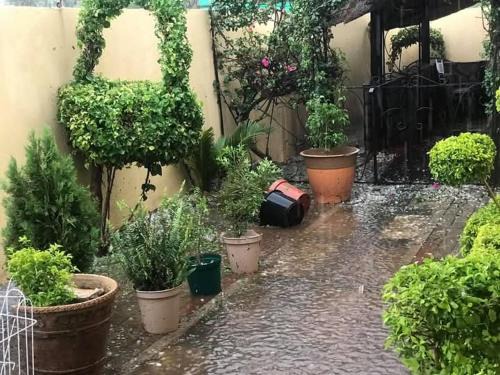 Gaborone Bed & Breakfast | Z4z Group