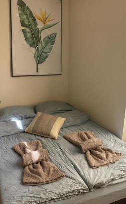 Fribourg Apartment | Zentral und komfortabel an der Kathedrale