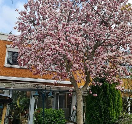 Rudow House | Zimmer mit optimaler Verkehrsanbindung und vielen Extras in Berlin-Rudow