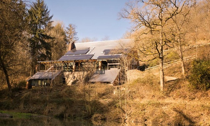 Blaimont House | Zonga Bonzai