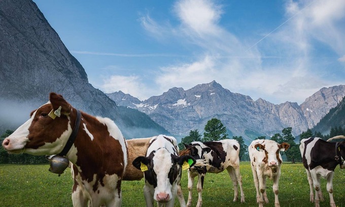 Eng Alm Cabin | Zweibettzimmer Nr. 2 - Bauernladen - Almdorf Eng Alm