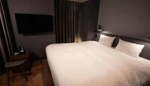 Standard Double Room, 1 King Bed