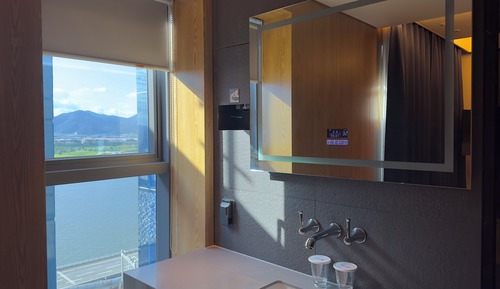 Deluxe Double Room (No View)