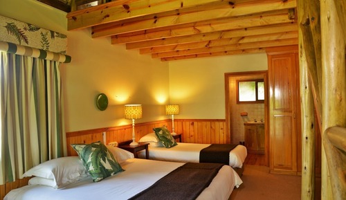 Family Cabin, Multiple Beds (Log Cabin)