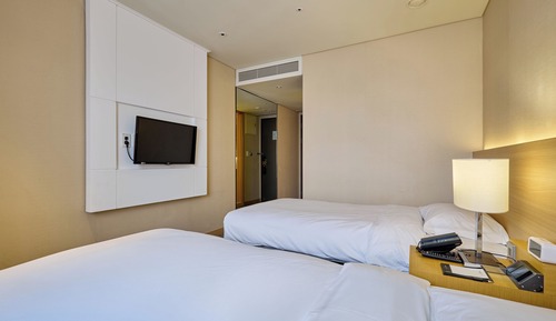 Standard Twin Room, Bathtub