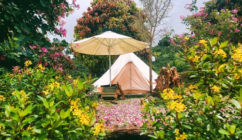 Honeymoon Tent