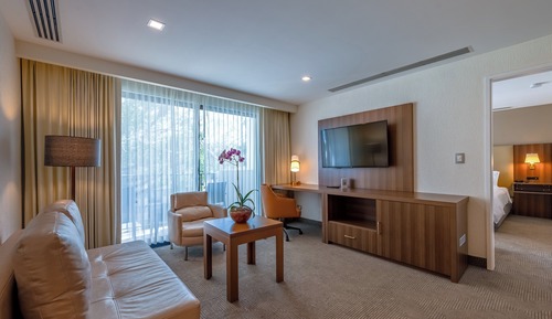 Superior Studio, 1 King Bed with Sofa bed