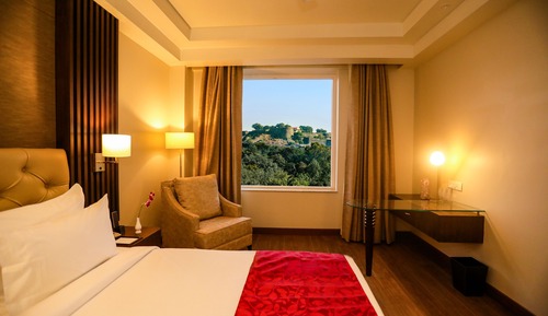 Superior Room with Fort View