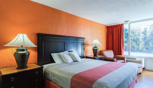 Room, 1 King Bed, Non Smoking