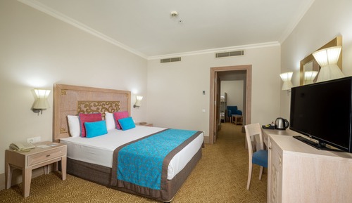 Family Room with Bunk Bed