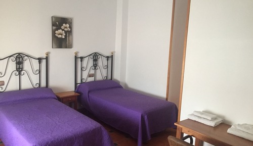 Basic Double or Twin Room