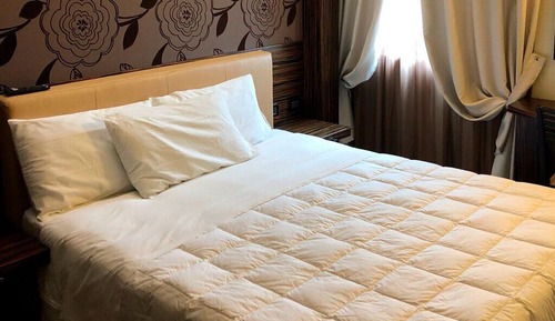 Basic Double Room Single Use