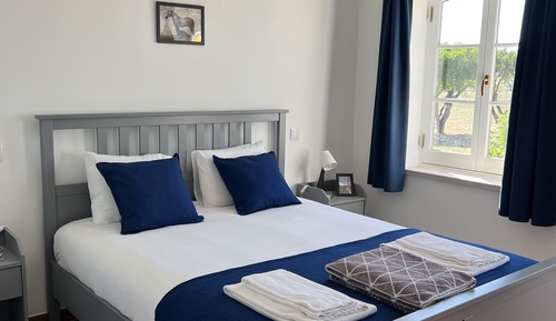 Deluxe Room, Pool View