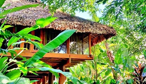 Basic Shared Dormitory