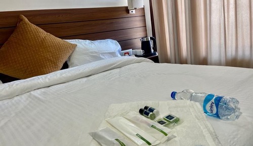 Standard Room, 1 King Bed, Non Smoking, Mountain View