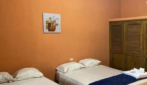 Basic Double Room, 2 Twin Beds, Accessible Bathtub, Garden View