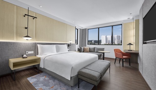 Suite, 1 King Bed with Sofa bed