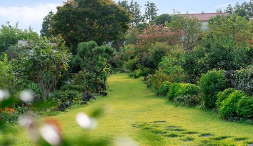 Basic Room, 1 Bedroom (Doldam)