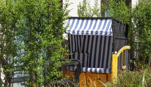 Studio Suite, Non Smoking, Terrace (Studio)