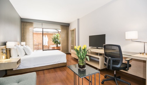 Executive Room, 1 Queen Bed, Terrace