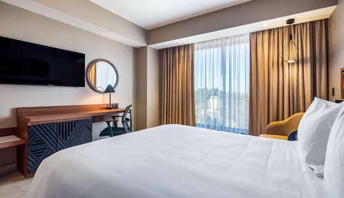 Room, 1 Queen Bed, Refrigerator