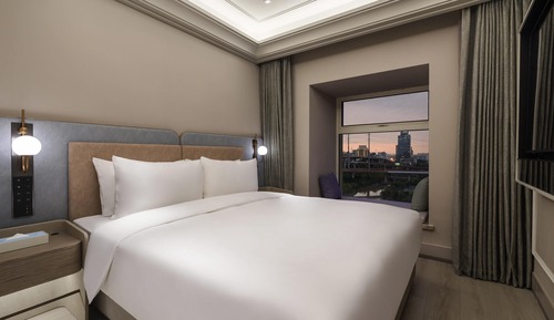 Room, 1 King Bed