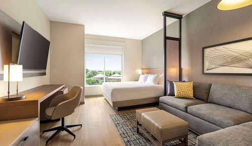 Room, 1 King Bed with Sofa bed