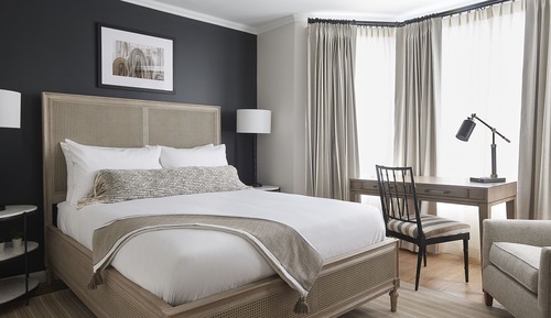 Premier Single Room, 1 Queen Bed