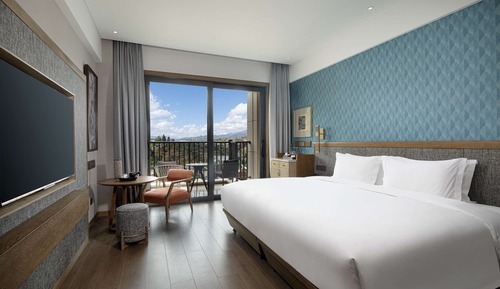 Superior Room, 1 King Bed, Smoking, Mountain View