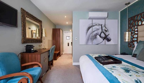 Deluxe Room, 1 Double Bed, Non Smoking