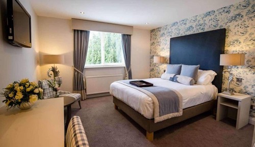 Superior Room, 1 King Bed, Non Smoking