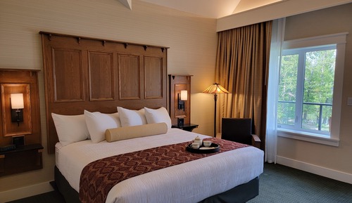 Standard Single Room, 1 King Bed, Mountain View