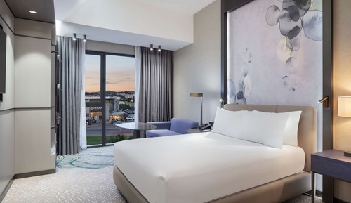 Room, 1 Queen Bed with Sofa bed