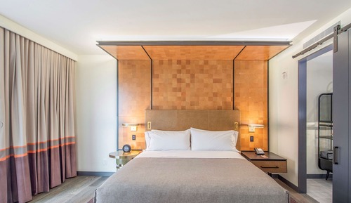 Suite, 1 King Bed, Accessible (Roll-In Shower, Mobility & Hearing)