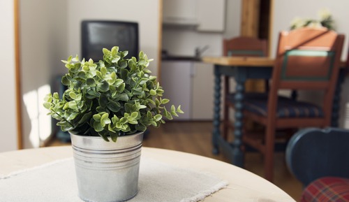 Grand Apartment, Multiple Bedrooms, Private Bathroom