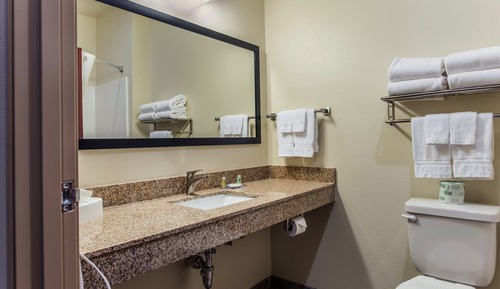 Room, 1 King Bed, Non Smoking