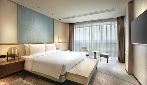 Suite, 1 King Bed with Sofa bed