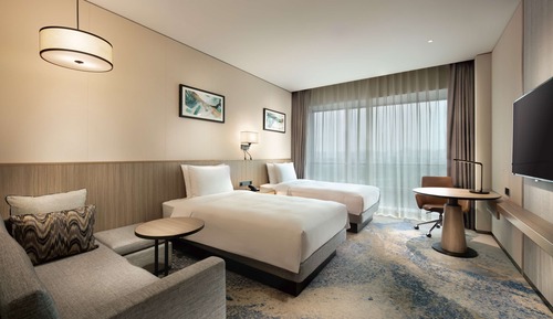 Room, 1 King Bed with Sofa bed