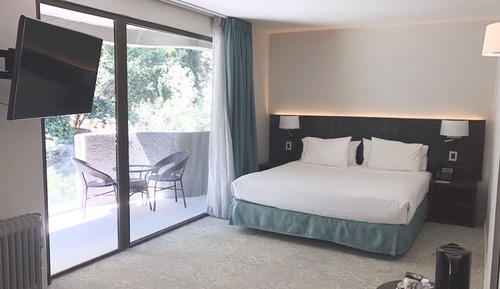 Deluxe Studio Suite, 1 King Bed, Terrace