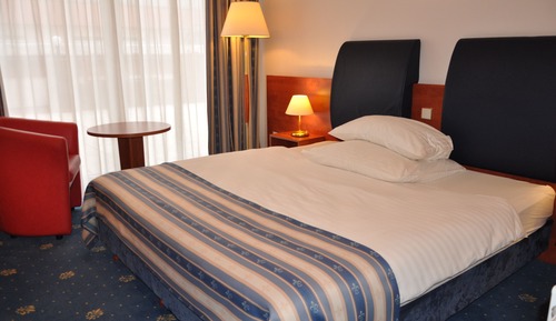 Double Room, 1 King Bed (Francuski)