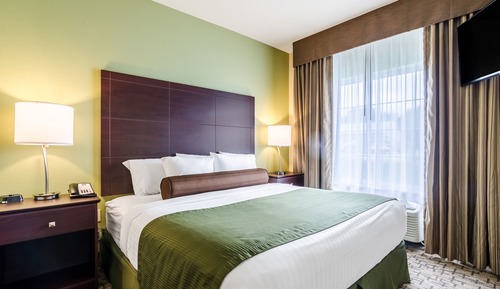 Suite, 1 King Bed with Sofa bed, Accessible, Non Smoking